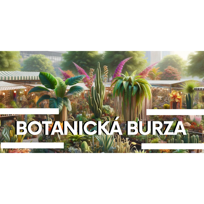 BOTANICKÁ BURZA - Vstupenka na 17.5.2025 BOTANICKÁ BURZA - Vstupenka na 17.5.2025